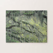 ドレープが掛けられたジョージア州サバンナのライブオークの木 ジグソーパズル (横)