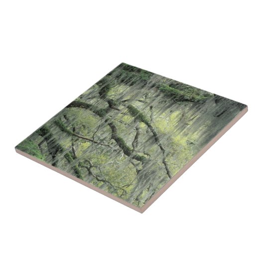 ドレープが掛けられたジョージア州サバンナのライブオークの木 タイル (側面)