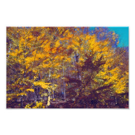 ドレープされた秋ツリー フォトプリント           