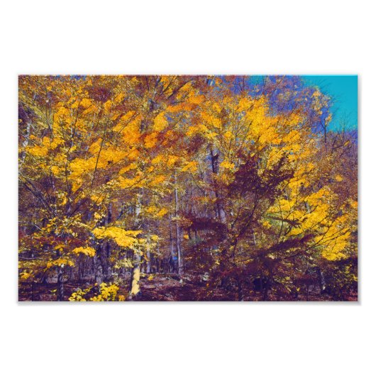 ドレープされた秋ツリー フォトプリント            (正面)