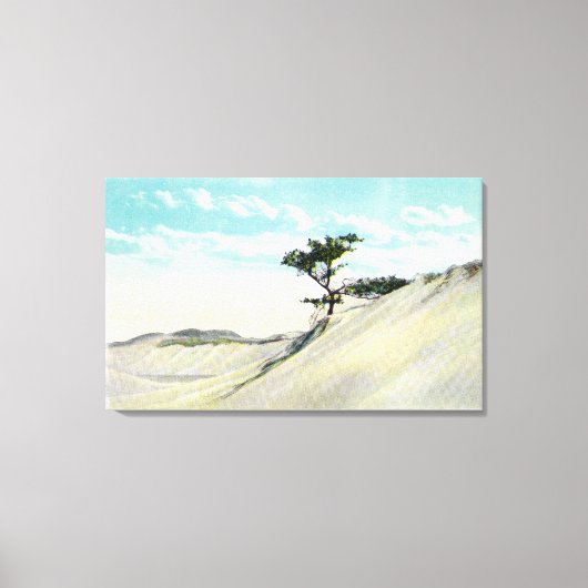 ドロシー・ブラッドフォード汽船の眺め キャンバスプリント (正面)