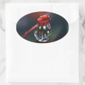 ドロップオンブド 楕円形シール (バッグ)