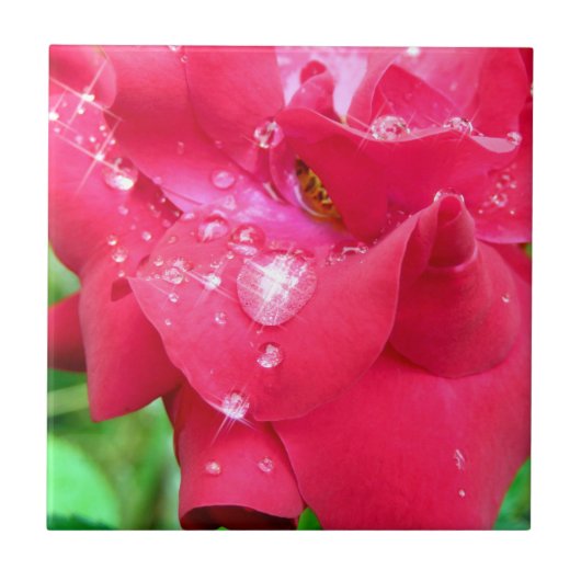 ドロップレット上の花びらセラミックフォトタイル タイル (正面)