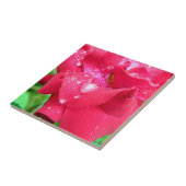 ドロップレット上の花びらセラミックフォトタイル タイル (側面)