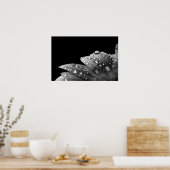 ドロップレット（白黒） ポスター (キッチン)