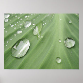 ドロップ単位 ポスター