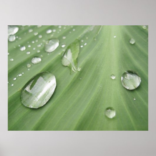 ドロップ単位 ポスター (正面)