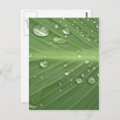 ドロップ単位 ポストカード (正面/裏面)