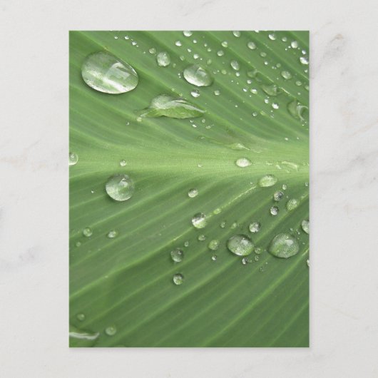 ドロップ単位 ポストカード (正面)