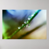 ドロップ ポスター (正面)