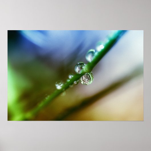 ドロップ ポスター (正面)