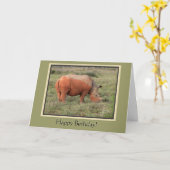 ドロディーハッピーバースデー カード (黄色い花)