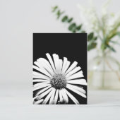 ドロニカム花絵はがき（白黒） ポストカード (スタンド正面)