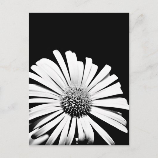 ドロニカム花絵はがき（白黒） ポストカード (正面)