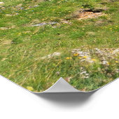 ドロミティ – フェデーア湖とパス ポスター (角)