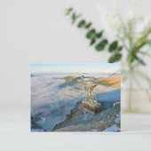 ドロミテスの山セセダのケーブルカー ポストカード (スタンド正面)