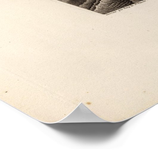 ドロミュー ポスター (角)