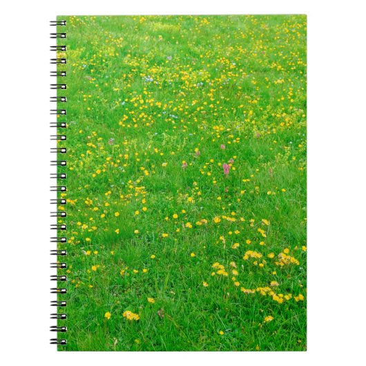 ドロミートアルプスの野生の花の牧草地 ノートブック (正面)