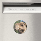 ドロリングラクダ磁石 マグネット (インサイチュ (食洗機))