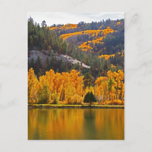 ドロレスの秋を振り返って ポストカード (正面)