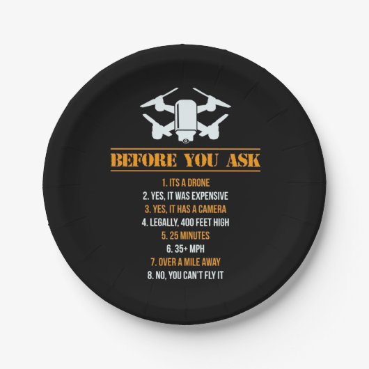 ドロー頼ンパイロット ペーパープレート (正面)