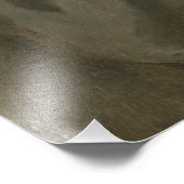 ドワイト・アイゼンハワーの5つ星肖像画 フォトプリント            (角)