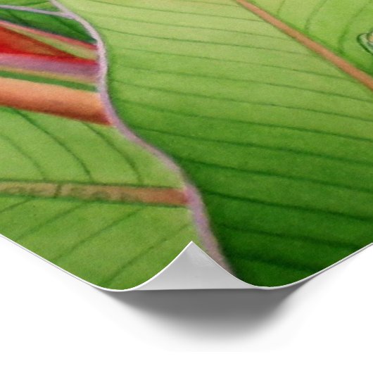 ドワイルメオス ポスター (角)