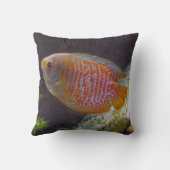 ドワーフグルミ クッション (裏面)