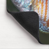 ドワーフグルミ – Colisa lalia マウスパッド (コーナー)