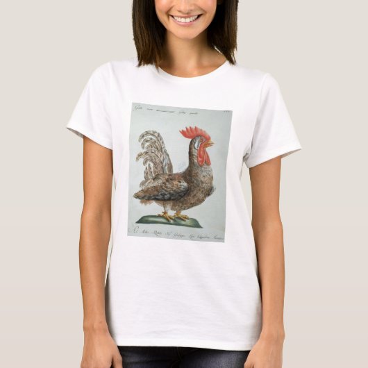 ドワーフコケレル， c.1767-76 (手色版木、銅版、版画) tシャツ (正面)