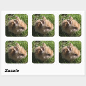 ドワーフバニーステッカー スクエアシール (シート)