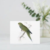 ドワーフパラケート – マコーbyエドワード・リア ポストカード (スタンド正面)