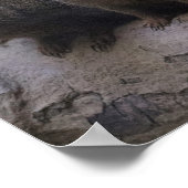 ドワーフモンガースパック ポスター (角)