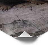 ドワーフモンガースパック ポスター (コーナー)