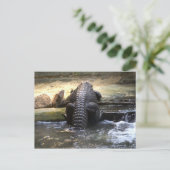 ドワーフワニ ポストカード (スタンド正面)