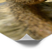 ドワーフ・モンガース葉書の四角ステッカーを閉じる ポスター (角)