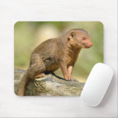 ドワーフ・モンガース葉書の四角ステッカーを閉じる マウスパッド (マウス)