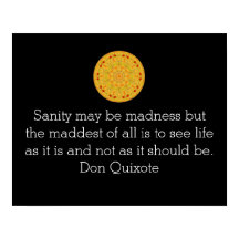 ドンキホーテ引用文 感動的