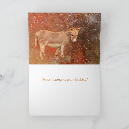 ドンキーアンドスターダスト誕生日 カード (内部)