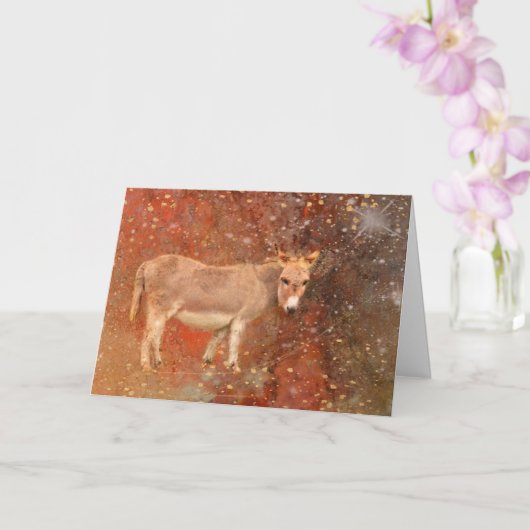 ドンキーアンドスターダスト誕生日 カード (蘭)