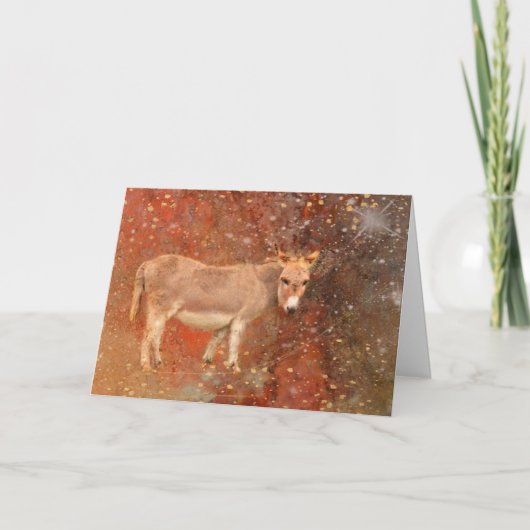 ドンキーアンドスターダスト誕生日 カード (正面)