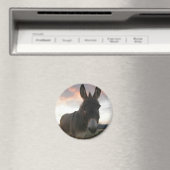 ドンキーアート マグネット (インサイチュ (食洗機))