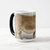 ドンキーウィズバンズラップトップスリーブ モーフィングマグカップ (正面左)