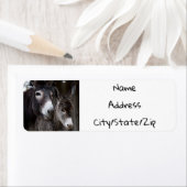 ***ドンキーカップル***差出人住所ラベル ラベル (インサイチュ)