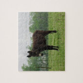 ドンキージグソーパズル ジグソーパズル (縦)