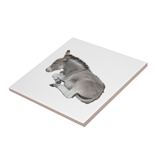 ドンキーフォール タイル (側面)