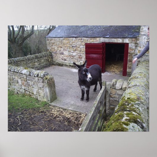 ドンキープリント ポスター (正面)