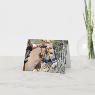 ドンキーベイドオレンジハイチ空白のの札 サンキューカード