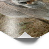 ドンキー間抜け顔 フォトプリント            (角)