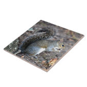 ドングリで食べているリス タイル (側面)